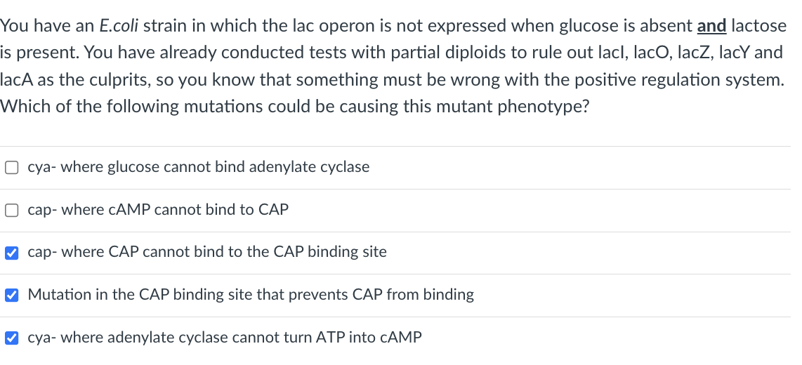 You have an E.coli strain in which the lac operon is not expressed when glucose is absent and lactose
is present. You have already conducted tests with partial diploids to rule out lacl, lacO, lacZ, lacY and
lacA as the culprits, so you know that something must be wrong with the positive regulation system.
Which of the following mutations could be causing this mutant phenotype?
O cya- where glucose cannot bind adenylate cyclase
O cap- where CAMP cannot bind to CAP
M cap- where CAP cannot bind to the CAP binding site
O Mutation in the CAP binding site that prevents CAP from binding
O cya- where adenylate cyclase cannot turn ATP into CAMP
