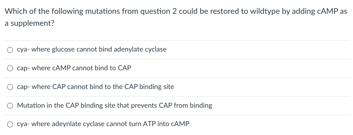 Which of the following mutations from question 2 could be restored to wildtype by adding CAMP as
a supplement?
O cya- where glucose cannot bind adenylate cyclase
O cap- where CAMP cannot bind to CAP
O cap- where CAP cannot bind to the CAP binding site
O Mutation in the CAP binding site that prevents CAP from binding
O cya- where adeynlate cyclase cannot turn ATP into CAMP
