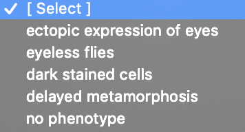 V [ Select ]
ectopic expression of eyes
eyeless flies
dark stained cells
delayed metamorphosis
no phenotype
