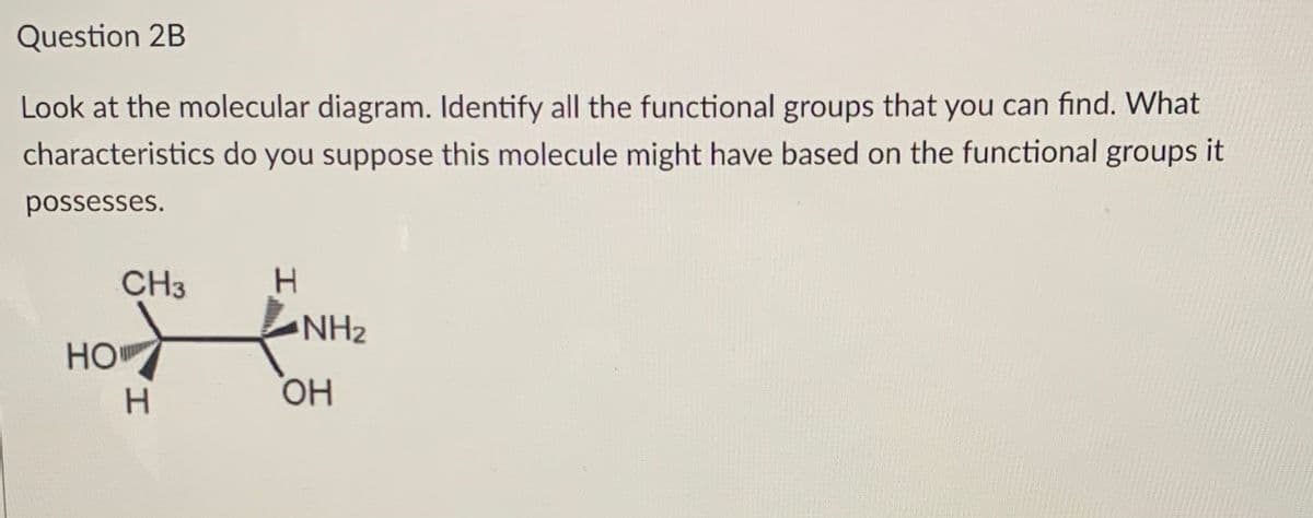 Question 2B
Look at the molecular diagram. Identify all the functional groups that you can find. What
characteristics do you suppose this molecule might have based on the functional groups it
possesses.
CH3
NH2
HO
ОН
