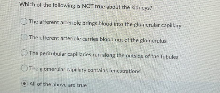 Which of the following is NOT true about the kidneys?
The afferent arteriole brings blood into the glomerular capillary
OThe efferent arteriole carries blood out of the glomerulus
O The peritubular capillaries run along the outside of the tubules
O The glomerular capillary contains fenestrations
All of the above are true
