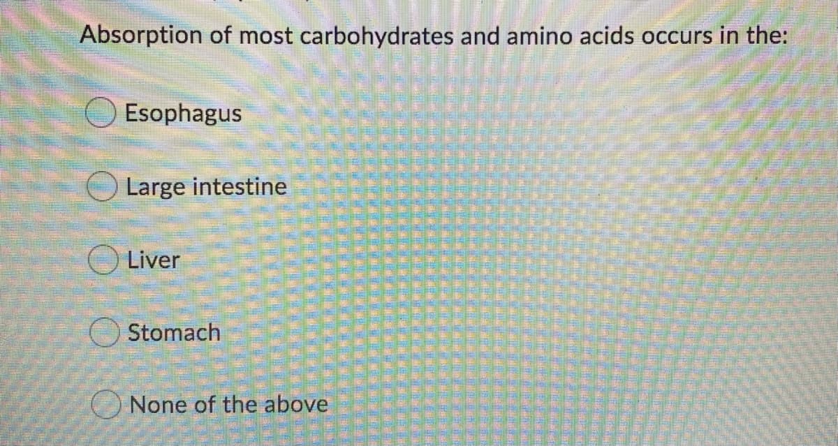 Absorption of most carbohydrates and amino acids occurs in the:
Esophagus
Large intestine
O Liver
Stomach
O None of the above
