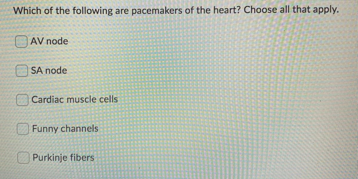 Which of the following are pacemakers of the heart? Choose all that apply.
AV node
SA node
Cardiac muscle cells
Funny channels
Purkinje fibers
