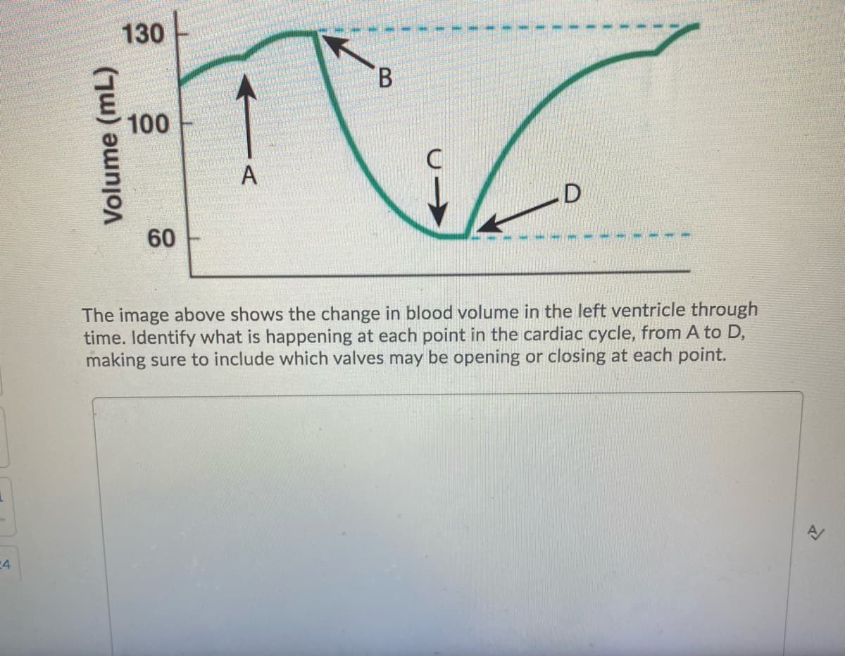 130
B.
100
A
60
The image above shows the change in blood volume in the left ventricle through
time. Identify what is happening at each point in the cardiac cycle, from A to D,
making sure to include which valves may be opening or closing at each point.
-4
Volume (mL)
