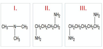 II.
NH2
III.
NH2
I.
CH3-N-CH3 CH,CH,CH;CH2
CH,CH,CH,CH,CH2
CH3
NH2
NH2
