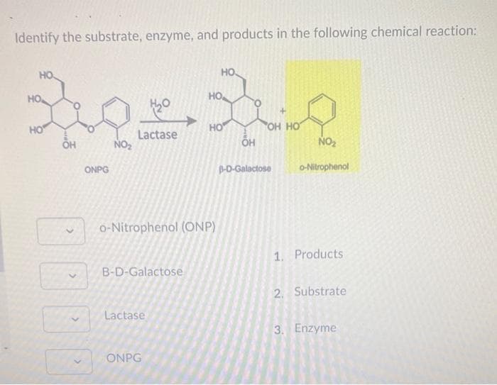 Identify the substrate, enzyme, and products in the following chemical reaction:
HO
но.
HO
но,
HO
HO
OH HO
Lactase
NO2
он
NO2
OH
ONPG
p-D-Galactose
O-Nitrophenol
o-Nitrophenol (ONP)
1. Products
B-D-Galactose
2. Substrate
Lactase
3. Enzyme
ONPG
