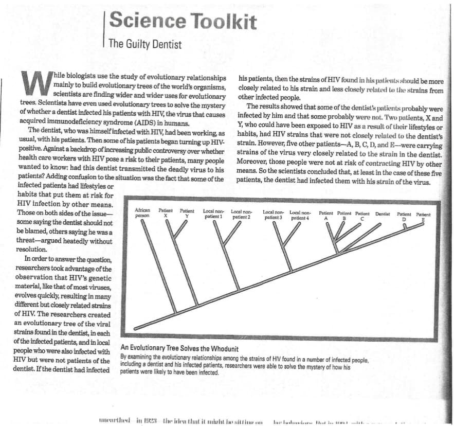 Science Toolkit
The Guilty Dentist
W
hile biologists use the study of evolutionary relationships
mainly to build evolutionary trees of the world's organisms,
scientists are finding wider and wider uses for evolutionary
trees. Scientists have even used evolutionary trees to solve the mystery
of whether a dentist infected his patients with HIV, the virus that causes
acquired immunodeficiency syndrome (AIDS) in humans.
The dentist, who was himself infected with HIV, had been working, as
usual, with his patients. Then some of his patients began turning up HIV-
positive. Against a backdrop of increasing public controversy over whether
health care workers with HIV pose a risk to their patients, many people
wanted to know: had this dentist transmitted the deadly virus to his
patients? Adding confusion to the situation was the fact that some of the
infected patients had lifestyles or
habits that put them at risk for
HIV infection by other means.
Those on both sides of the issue-
some saying the dentist should not
be blamed, others saying he was a
threat-argued heatedly without
resolution.
In order to answer the question,
researchers took advantage of the
observation that HIV's genetic
material, like that of most viruses,
evolves quickly, resulting in many
different but closely related strains
of HIV. The researchers created
an evolutionary tree of the viral
strains found in the dentist, in each
of the infected patients, and in local
people who were also infected with
HIV but were not patients of the
dentist. If the dentist had infected
African Patient
person X
Patient Local non-
Y patient 1
his patients, then the strains of HIV found in his patients should be more
closely related to his strain and less closely related to the strains from
other infected people.
The results showed that some of the dentist's patients probably were
infected by him and that some probably were not. Two patients, X and
Y, who could have been exposed to HIV as a result of their lifestyles or
habits, had HIV strains that were not closely related to the dentist's
strain. However, five other patients-A, B, C, D, and E-were carrying
strains of the virus very closely related to the strain in the dentist.
Moreover, those people were not at risk of contracting HIV by other
means. So the scientists concluded that, at least in the case of these five
patients, the dentist had infected them with his strain of the virus.
Local non-
patient 2
Local non- Local non-
patient 3
patient 4
Patient Patient Patient Dentist
A
C
An Evolutionary Tree Solves the Whodunit
By examining the evolutionary relationships among the strains of HIV found in a number of infected people,
including a dentist and his infected patients, researchers were able to solve the mystery of how his
patients were likely to have been infected.
unearthed in 1923 the idea that it might be sittin las lushes that lett
Patient Patient