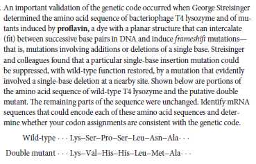 An important validation of the genetic code occurred when George Streisinger
determined the amino acid sequence of bacteriophage T4 lysozyme and of mu-
tants induced by proflavin, a dye with a planar structure that can intercalate
(fit) between successive base pairs in DNA and induce frameshift mutations-
that is, mutations involving additions or deletions of a single base. Streisinger
and colleagues found that a particular single-base insertion mutation could
be suppressed, with wild-type function restored, by a mutation that evidently
involved a single-base deletion at a nearby site. Shown below are portions of
the amino acid sequence of wild-type T4 lysozyme and the putative double
mutant. The remaining parts of the sequence were unchanged. Identify MRNA
sequences that could encode each of these amino acid sequences and deter-
mine whether your codon assignments are consistent with the genetic code.
Wild-type ... Lys-Ser-Pro-Ser-Leu-Asn-Ala. ..
Double mutant - .. Lys-Val-His-His-Leu-Met-Ala- ..
