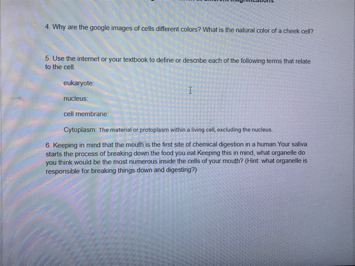 4. Why are the google images of cells different colors? What is the natural color of a cheek cell?
5. Use the internet or your textbook to define or describe each of the following terms that relate
to the cell.
eukaryote:
nucleus:
cell membrane:
Cytoplasm: The material or protoplasm within a living cell, excluding the nucleus.
6. Keeping in mind that the mouth is the first site of chemical digestion in a human. Your saliva
starts the process of breaking down the food you eat.Keeping this in mind, what organelle do
you think would be the most numerous inside the cells of your mouth? (Hint: what organelle is
responsible for breaking things down and digesting?)
