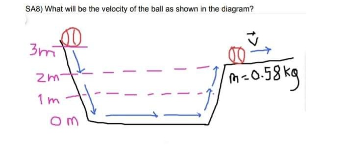 SA8) What will be the velocity of the ball as shown in the diagram?
3m
mcO.58 kg
1 m
Om
