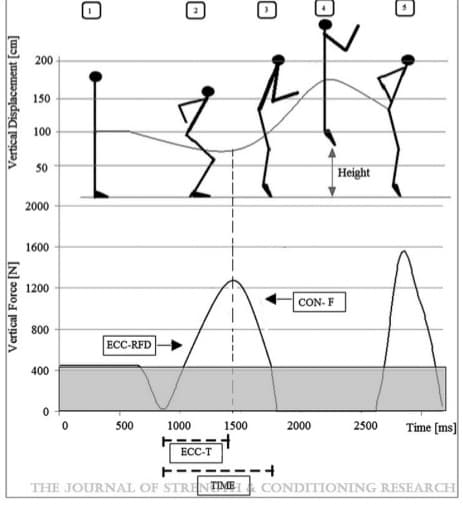 200
150
100
50
Height
2000
1600
1200
CON- F
800
ECC-RFD
400
1000
2000
2500
Time [ms]
500
1500
ECC-T
THE JOURNAL OF STRENTIME
CONDITIONING RESEARCH
Vertical Force [N]
Vertical Displacement [cm]
