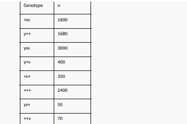 Genotype
n
+sv
1600
y++
1680
ysv
3000
y+v
400
350
2400
ys+
50
70
