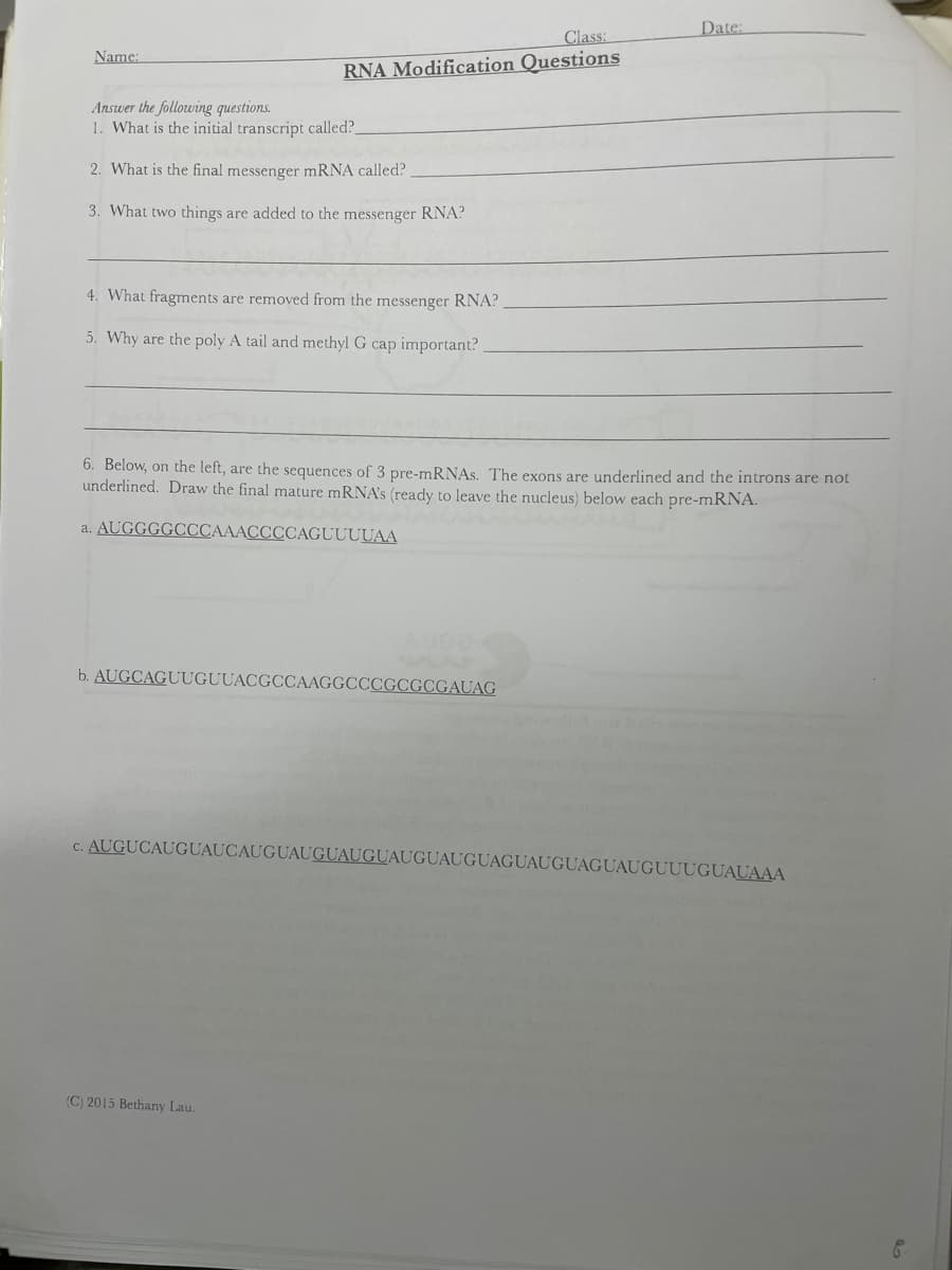 Date:
Class:
Name:
RNA Modification Questions
Answer the following questions.
1. What is the initial transcript called?
2. What is the final messenger MRNA called?
3. What two things are added to the messenger RNA?
4. What fragments are removed from the messenger RNA?
5. Why are the poly A tail and methyl G cap important?
6. Below, on the left, are the sequences of 3 pre-mRNAs. The exons are underlined and the introns are not
underlined. Draw the
mature mRNA's (ready to leave the nucleus) below each pre-mRNA.
a. AUGGGGCCCAAACCCCAGUUUUAA
b. AUGCAGUUGUUACGCCAAGGCCCGCGCGAUAG
c. AUGUCAUGUAUCAUGUAUGUAUGUAUGUAUGUAGUAUGUAGUAUGUUUGUAUAAA
(C) 2015 Bethany Lau.
