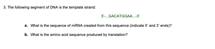 3. The following segment of DNA is the template strand:
5'-.GACATGGAA.-3'
a. What is the sequence of MRNA created from this sequence (indicate 5' and 3' ends)?
b. What is the amino acid sequence produced by translation?
