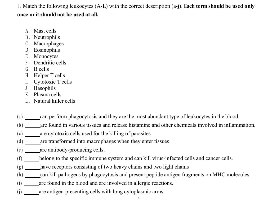 1. Match the following leukocytes (A-L) with the correct description (a-j). Each term should be used only
once or it should not be used at all.
(b)
(c)
(d)
(e)
(f)
A. Mast cells
B. Neutrophils
C. Macrophages
D. Eosinophils
E. Monocytes
F. Dendritic cells
G. B cells
H. Helper T cells
I. Cytotoxic T cells
J. Basophils
K. Plasma cells
L. Natural killer cells
can perform phagocytosis and they are the most abundant type of leukocytes in the blood.
are found in various tissues and release histamine and other chemicals involved in inflammation.
are cytotoxic cells used for the killing of parasites
are transformed into macrophages when they enter tissues.
are antibody-producing cells.
belong to the specific immune system and can kill virus-infected cells and cancer cells.
have receptors consisting of two heavy chains and two light chains
_can kill pathogens by phagocytosis and present peptide antigen fragments on MHC molecules.
are found in the blood and are involved in allergic reactions.
are antigen-presenting cells with long cytoplasmic arms.
3