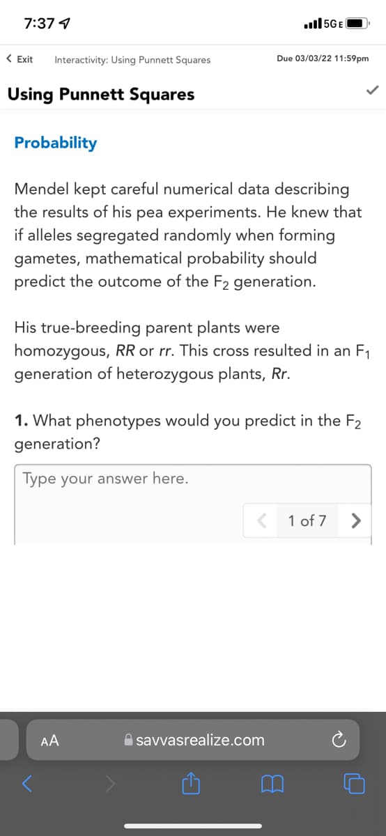 7:37 4
ul15GE
( Exit
Interactivity: Using Punnett Squares
Due 03/03/22 11:59pm
Using Punnett Squares
Probability
Mendel kept careful numerical data describing
the results of his pea experiments. He knew that
if alleles segregated randomly when forming
gametes, mathematical probability should
predict the outcome of the F2 generation.
His true-breeding parent plants were
homozygous, RR or rr. This cross resulted in an F1
generation of heterozygous plants, Rr.
1. What phenotypes would you predict in the F2
generation?
Type your answer here.
< 1 of 7
AA
A savvasrealize.com
