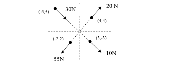 20 N
30N
(-6,5)
(4,4)
(-2,2)
(3,-3)
10N
55N
