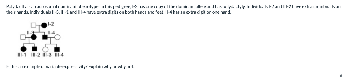 Polydactly is an autosomal dominant phenotype. In this pedigree, I-2 has one copy of the dominant allele and has polydactyly. Individuals l-2 and III-2 have extra thumbnails on
their hands. Individuals Il-3, III-1 and III-4 have extra digits on both hands and feet, Il-4 has an extra digit on one hand.
1-2
Il-3
II-4
III-1 III-2 III-3 -4
Is this an example of variable expressivity? Explain why or why not.
