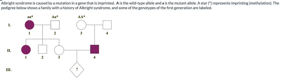 Albright syndrome is caused by a mutation in a gene that is imprinted. A is the wild-type allele and a is the mutant allele. A star (*) represents imprinting (methylation). The
pedigree below shows a family with a history of Albright syndrome, and some of the genotypes of the first generation are labeled.
aa*
Aa*
AA*
I.
1
3
4
II.
1
2
3
4
III.
