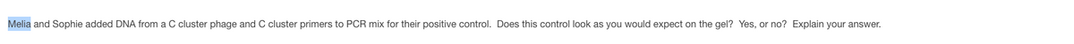 Melia and Sophie added DNA from a C cluster phage and C cluster primers to PCR mix for their positive control. Does this control look as you would expect on the gel? Yes, or no? Explain your answer.

