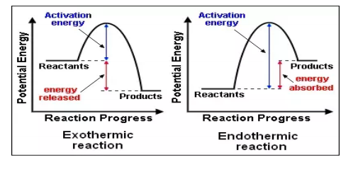 Activation
energy
Activation
energy
Reactants
Products
energy
absorbed
energy
released
Products
Reactants
Reaction Progress
Reaction Progress
Exothermic
reaction
Endothermic
reaction
Potential Energy
Potential Energy
