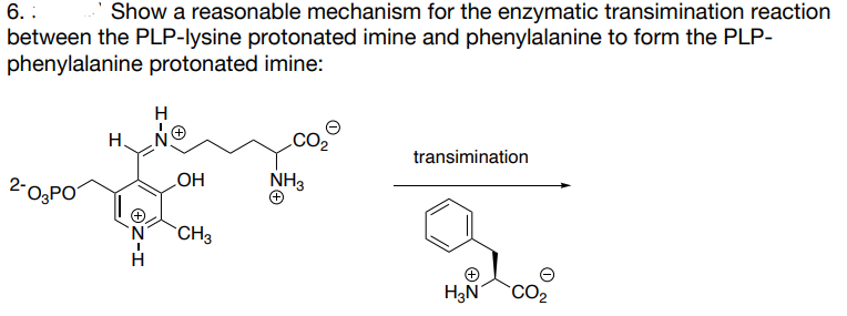 6. :
Show a reasonable mechanism for the enzymatic transimination reaction
between the PLP-lysine protonated imine and phenylalanine to form the PLP-
phenylalanine protonated imine:
H
H.
transimination
2-O,PO
HO
NH3
`CH3
H3N
CO2
Oz-I
