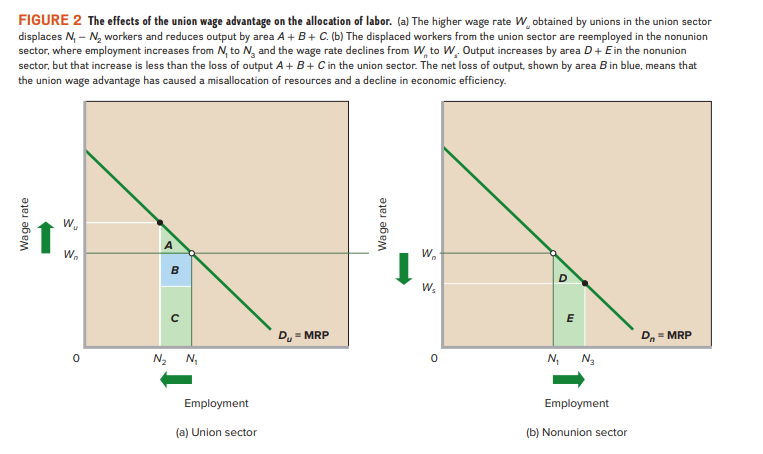 FIGURE 2 The effects of the union wage advantage on the allocation of labor. (a) The higher wage rate W, obtained by unions in the union sector
displaces N, – N, workers and reduces output by area A + B+ C. (b) The displaced workers from the union sector are reemployed in the nonunion
sector, where employment increases from N, to N, and the wage rate declines from W, to W. Output increases by area D+ Ein the nonunion
sector, but that increase is less than the loss of output A+ B+ C in the union sector. The net loss of output, shown by area B in blue, means that
the union wage advantage has caused a misallocation of resources and a decline in economic efficiency.
W.
W.
W,
W.
E
Dy = MRP
D, = MRP
N2 N,
N,
N3
Employment
Employment
(a) Union sector
(b) Nonunion sector
Wage rate
Wage rate
