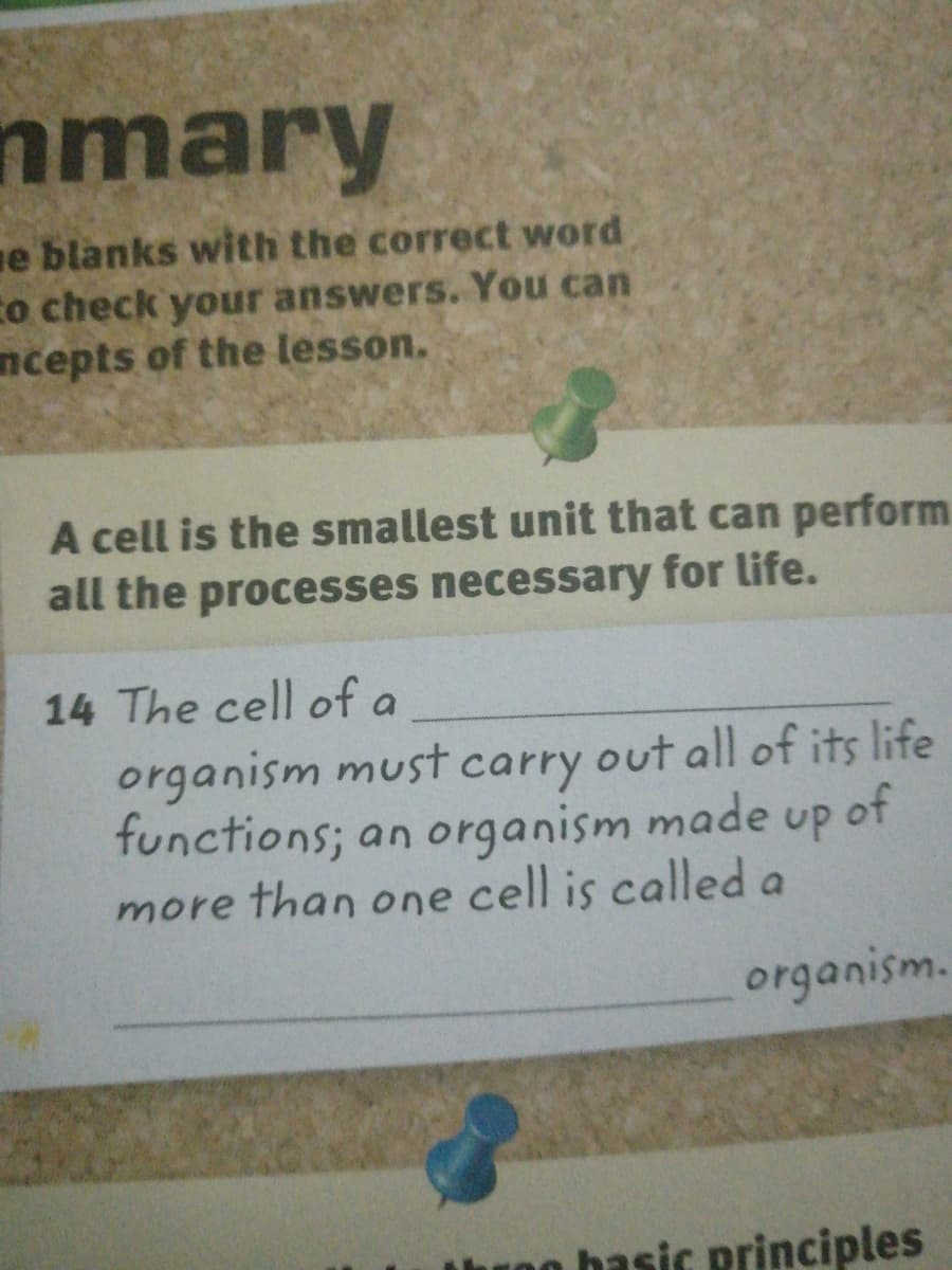 mmary
e blanks with the correct word
co check your answers. You can
ncepts of the lesson.
A cell is the smallest unit that can perform
all the processes necessary for life.
14 The cell of a
organism must carry out all of its life
functions; an organism made up of
more than one cell is called a
organism.
0n hasic principles
