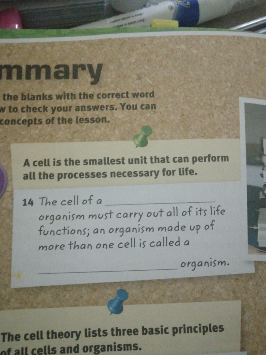 mmary
the blanks with the correct word
w to check your answers. You can
concepts of the lesson.
A cell is the smallest unit that can perform
all the processes necessary for life.
14 The cell of a
organism must carry out all of its life
functions; an organism made up of
more than one cell is called a
organism.
The cell theory lists three basic principles
of all cells and organisms.
