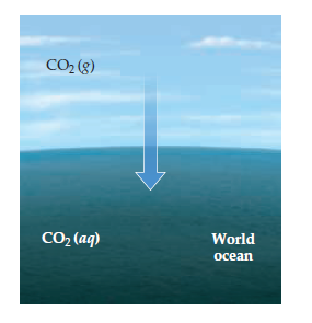 CO2 (8)
CO2 (aq)
World
ocean
