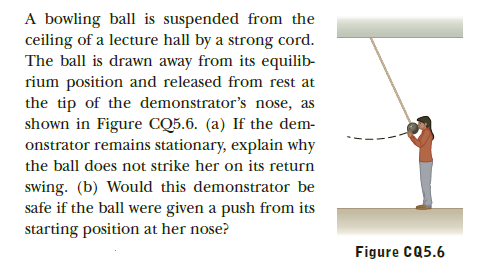 A bowling ball is suspended from the
ceiling of a lecture hall by a strong cord.
The ball is drawn away from its equilib-
rium position and released from rest at
the tip of the demonstrator's nose, as
shown in Figure CQ5.6. (a) If the dem-
onstrator remains stationary, explain why
the ball does not strike her on its return
swing. (b) Would this demonstrator be
safe if the ball were given a push from its
starting position at her nose?
Figure CQ5.6
