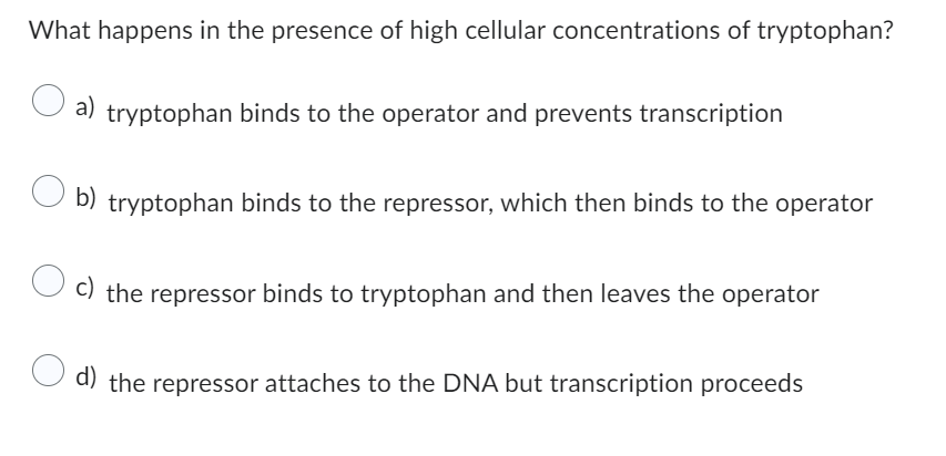 What happens in the presence of high cellular concentrations of tryptophan?
a) tryptophan binds to the operator and prevents transcription
b) tryptophan binds to the repressor, which then binds to the operator
c) the repressor binds to tryptophan and then leaves the operator
d) the repressor attaches to the DNA but transcription proceeds