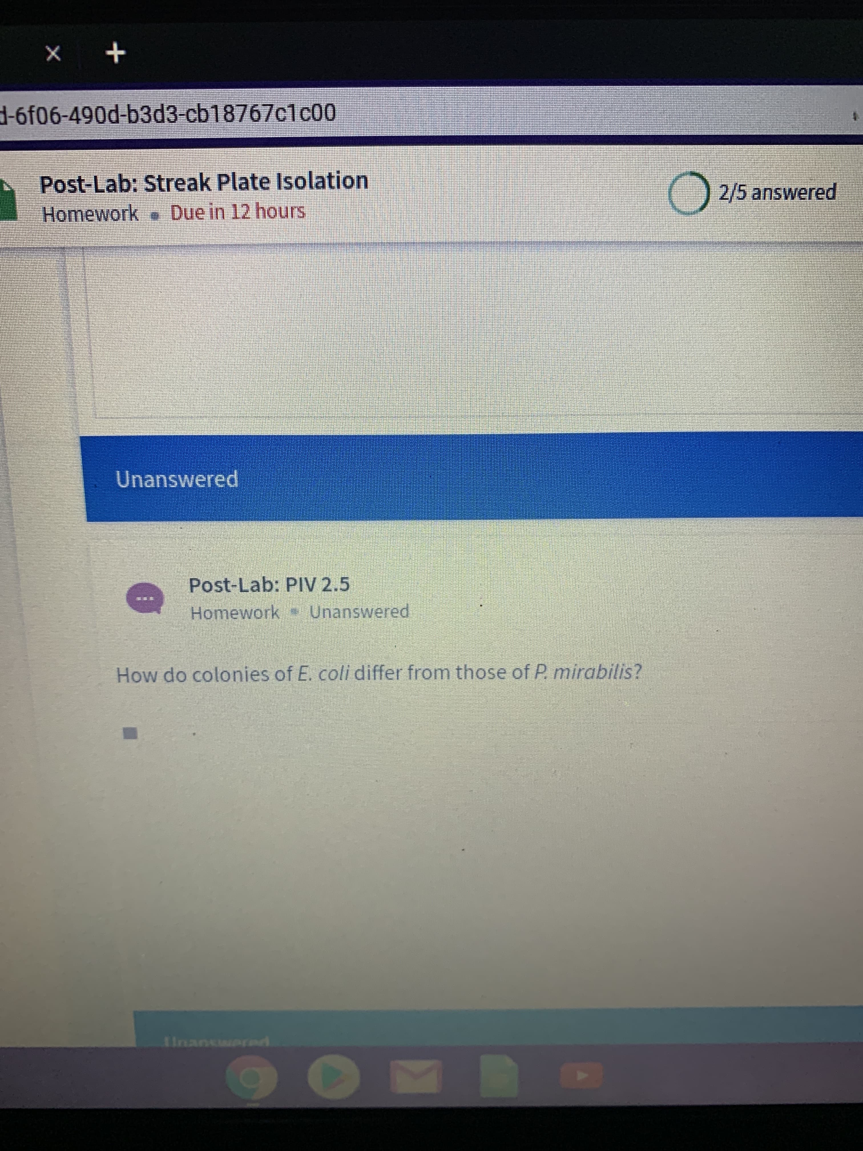 d-6f06-490d-b3d3-cb18767c100
Post-Lab: Streak Plate Isolation
Homework. Due in 12 hours
2/5 answered
Unanswered
Post-Lab: PIV 2.5
Homework Unanswered
How do colonies of E. coli differ from those of P. mirabilis?
inancwarnd
