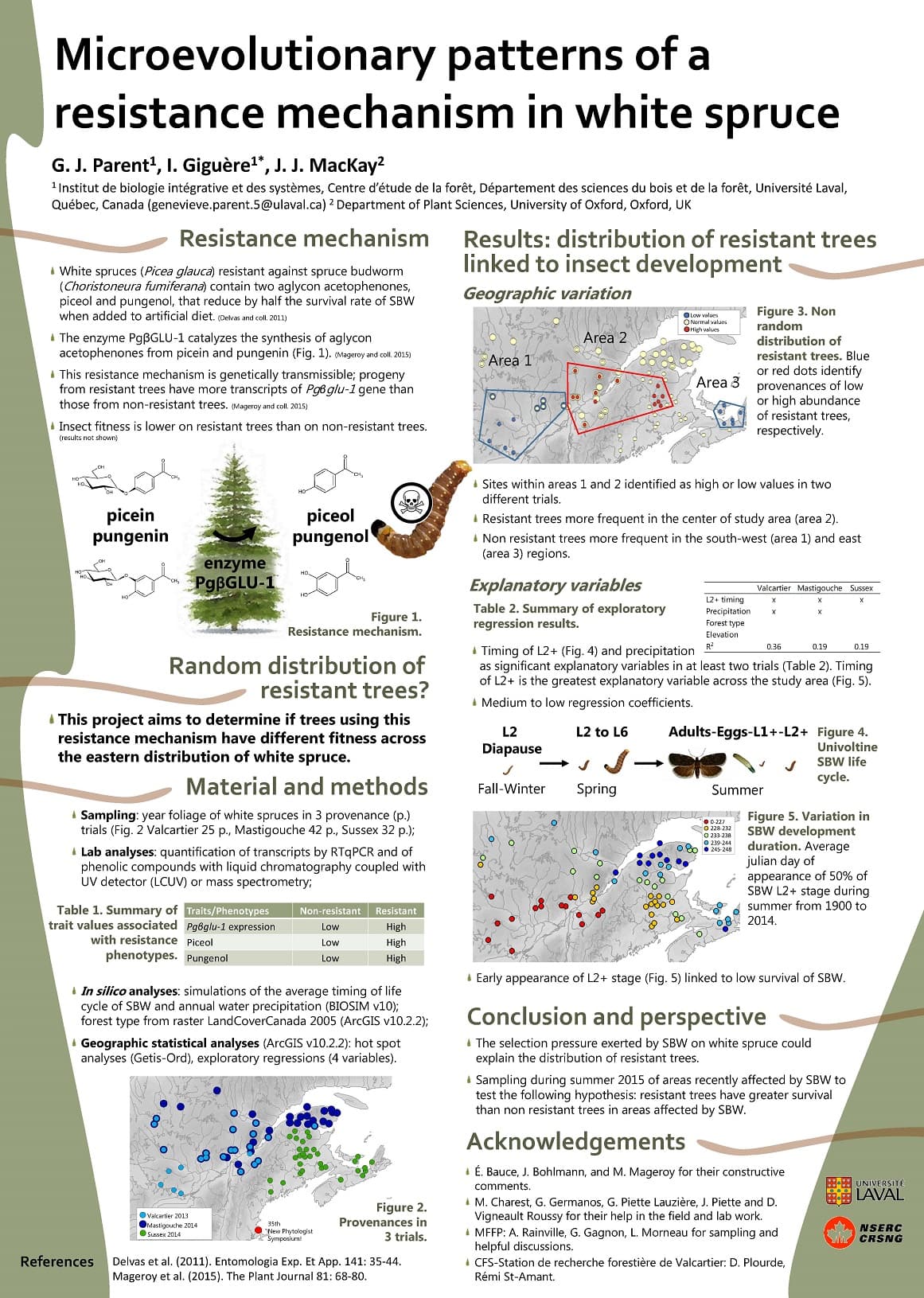 Microevolutionary
patterns of a
resistance mechanism in white spruce
G. J. Parent¹, I. Giguère¹*, J. J. MacKay²
¹ Institut de biologie intégrative et des systèmes, Centre d'étude de la forêt, Département des sciences du bois et de la forêt, Université Laval,
Québec, Canada (genevieve.parent.5@ulaval.ca) 2 Department of Plant Sciences, University of Oxford, Oxford, UK
Resistance mechanism
Results: distribution of resistant trees
linked to insect development
* White spruces (Picea glauca) resistant against spruce budworm
(Choristoneura fumiferana) contain two aglycon acetophenones,
piceol and pungenol, that reduce by half the survival rate of SBW
when added to artificial diet. (Delvas and coll. 2011)
Geographic variation
Low values
O Normal values
●High values
Area 2
The enzyme PgBGLU-1 catalyzes the synthesis of aglycon
acetophenones from picein and pungenin (Fig. 1). (Mageroy and coll. 2015)
Area 1
This resistance mechanism is genetically transmissible; progeny
from resistant trees have more transcripts of PgBglu-1 gene than
those from non-resistant trees. (Mageroy and coll. 2015)
Figure 3. Non
random
distribution of
resistant trees. Blue
or red dots identify
provenances of low
or high abundance
of resistant trees,
respectively.
Area 3
68
Insect fitness is lower on resistant trees than on non-resistant trees.
(results not shown)
sol
Sites within areas 1 and 2 identified as high or low values in two
different trials.
picein
pungenin
piceol
pungenol
* Resistant trees more frequent in the center of study area (area 2).
Non resistant trees more frequent in the south-west (area 1) and east
(area 3) regions.
enzyme
PgBGLU-1
Explanatory variables
Valcartier Mastigouche Sussex
X
X
X
X
Figure 1.
Resistance mechanism.
Table 2. Summary of exploratory
regression results.
L2+ timing
Precipitation
Forest type
Elevation
R²
0.36
0.19
0.19
Random distribution of
resistant trees?
Timing of L2+ (Fig. 4) and precipitation
as significant explanatory variables in at least two trials (Table 2). Timing
of L2+ is the greatest explanatory variable across the study area (Fig. 5).
* Medium to low regression coefficients.
This project aims to determine if trees using this
resistance mechanism have different fitness across
the eastern distribution of white spruce.
L2 to L6
Adults-Eggs-L1+-L2+
L2
Diapause
Figure 4.
Univoltine
SBW life
cycle.
Material and methods
Fall-Winter
Spring
Summer
Sampling: year foliage of white spruces in 3 provenance (p.)
trials (Fig. 2 Valcartier 25 p., Mastigouche 42 p., Sussex 32 p.);
Figure 5. Variation in
SBW development
O
O
8
* Lab analyses: quantification of transcripts by RTqPCR and of
phenolic compounds with liquid chromatography coupled with
UV detector (LCUV) or mass spectrometry;
duration. Average
julian day of
appearance of 50% of
SBW L2+ stage during
summer from 1900 to
Table 1. Summary of Traits/Phenotypes
trait values associated Pg8glu-1 expression
Non-resistant Resistant
Low
68 2014.
High
with resistance Piceol
phenotypes. Pungenol
Low
High
Low
High
* Early appearance of L2+ stage (Fig. 5) linked to low survival of SBW.
In silico analyses: simulations of the average timing of life
cycle of SBW and annual water precipitation (BIOSIM v10);
forest type from raster LandCoverCanada 2005 (ArcGIS v10.2.2);
Conclusion and perspective
Geographic statistical analyses (ArcGIS v10.2.2): hot spot
analyses (Getis-Ord), exploratory regressions (4 variables).
The selection pressure exerted by SBW on white spruce could
explain the distribution of resistant trees.
Sampling during summer 2015 of areas recently affected by SBW to
test the following hypothesis: resistant trees have greater survival
than non resistant trees in areas affected by SBW.
Acknowledgements
O
É. Bauce, J. Bohlmann, and M. Mageroy for their constructive
comments.
M. Charest, G. Germanos, G. Piette Lauzière, J. Piette and D.
Vigneault Roussy for their help in the field and lab work.
Figure 2.
Provenances in
3 trials.
●Valcartier 2013
Mastigouche 2014
Sussex 2014
New Phytologist
Symposium!
+ MFFP: A. Rainville, G. Gagnon, L. Morneau for sampling and
helpful discussions.
Delvas et al. (2011). Entomologia Exp. Et App. 141: 35-44.
Mageroy et al. (2015). The Plant Journal 81: 68-80.
+ CFS-Station de recherche forestière de Valcartier: D. Plourde,
Rémi St-Amant.
References
0-227
O228-232
O 233-238
O 239-244
245-248
UNIVERSITÉ
LAVAL
NSERC
CRSNG