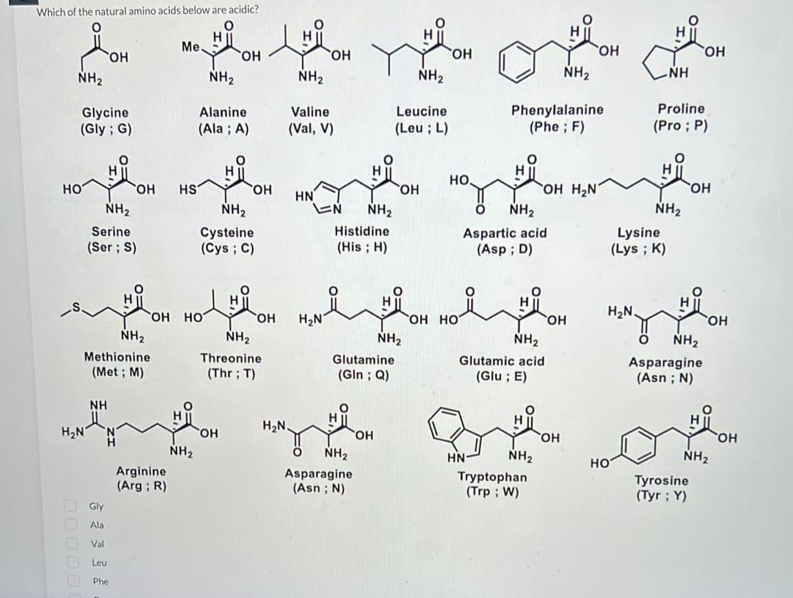 Which of the natural amino acids below are acidic?
H
NH₂
HO
00000
Glycine
(Gly; G)
H₂N
OH
NH₂
Serine
(Ser; S)
NH
H
Gly
Ala
Val
Leu
NH₂
Methionine
(Met; M)
OH
Phe
Me.
Arginine
(Arg; R)
HS
OH HO
NH₂
NH₂
Alanine
(Ala; A)
OH
NH₂
Cysteine
(Cys; C)
OH
OH
the
NH₂
NH₂
Threonine
(Thr; T)
OH
Valine
(Val, V)
H₂N.
HN
OH
H₂N
EN
NH₂
Histidine
(His; H)
NH₂
Asparagine
(Asn ; N)
Glutamine
(Gln; Q)
OH
Leucine
(Leu; L)
OH
NH₂
NH₂
OH
НО.
OH HO
O
NH₂
Aspartic acid
(Asp; D)
NH₂
Glutamic acid
(Glu; E)
HN-
Phenylalanine
(Phe; F)
NH₂
OH H₂N
Tryptophan
(Trp; W)
HiOH
NH₂
OH
OH
H₂N.
HO
Lysine
(Lys; K)
ΝΗ
O
Proline
(Pro; P)
NH₂
NH₂
Asparagine
(Asn ; N)
OH
OH
Tyrosine
(Tyr; Y)
OH
NH₂
OH