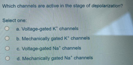 Which channels are active in the stage of depolarization?
Select one:
a. Voltage-gated K* channels
b. Mechanically gated K* channels
c. Voltage-gated Na* channels
d. Mechanically gated Na" channels
