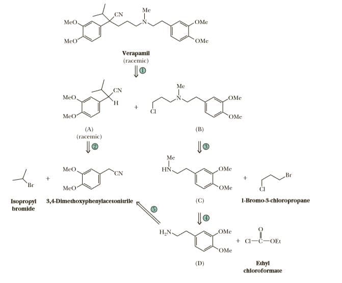 Me
MeO.
OMe
MeO
OMe
Verapamil
(гасemic)
Me
CN
MeO.
OMe
H.
MeO
OMe
(A)
(racemic)
(B)
Ме
MeO
HN
OMe
Br
Br
MeO
OMe
Isopropyl 3,4-Dimethoxyphenylacetonitrile
bromide
1-Bromo-3-chloropropane
H,N.
OMe
+ Cl-C-OEt
ОМе
(D)
Ethyl
chloroformate
