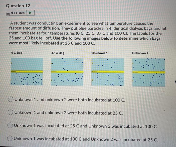 Question 12
) Listen
A student was conducting an experiment to see what temperature causes the
fastest amount of diffusion. They put blue particles in 4 identical dialysis bags and let
them incubate at four temperatures (0 C, 25 C, 37 C and 100 C). The labels for the
25 and 100 bag fell off. Use the following images below to determine which bags
were most likely incubated at 25 C and 100 C.
OC Bag
37 C Bag
Unknown 1
Unknown 2
OUnknown 1 and unknown 2 were both incubated at 100 C.
Unknown 1 and unknown 2 were both incubated at 25 C.
Unknown 1 was incubated at 25 C and Unknown 2 was incubated at 100 C.
Unknown 1 was incubated at 100 C and Unknown 2 was incubated at 25 C.
