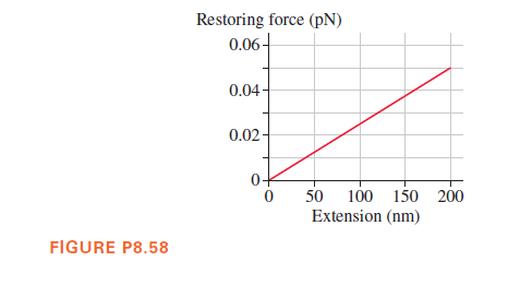 Restoring force (pN)
0.06-
0.04-
0.02 -
50 100 150 200
Extension (nm)
FIGURE P8.58
