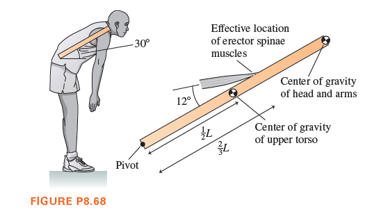 Effective location
30°
of erector spinae
muscles
Center of gravity
of head and arms
12°
Center of gravity
of upper torso
Pivot
FIGURE P8.68
