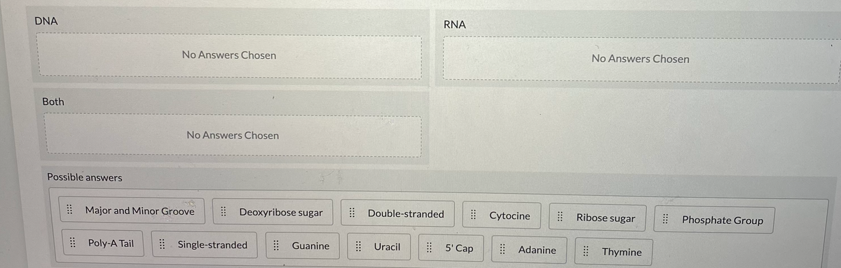 DNA
RNA
No Answers Chosen
No Answers Chosen
Both
No Answers Chosen
Possible answers
E Major and Minor Groove
! Deoxyribose sugar
| Double-stranded
| Cytocine
Ribose sugar
Phosphate Group
Poly-A Tail
E Single-stranded
! Guanine
| Uracil
| 5' Cap
| Adanine
| Thymine
::::
