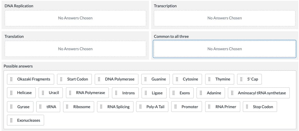 DNA Replication
Transcription
No Answers Chosen
No Answers Chosen
Translation
Common to all three
No Answers Chosen
No Answers Chosen
Possible answers
| Okazaki Fragments
| Start Codon
| DNA Polymerase
E Guanine
| Cytosine
| Thymine
| 5' Cap
| Helicase
| Uracil
E RNA Polymerase
| Ligase
E Exons
E Adanine
| Aminoacyl TRNA synthetase
Introns
| Gyrase
| TRNA
| Ribosome
| RNA Splicing
| Poly-A Tail
| Promoter
| RNA Primer
| Stop Codon
| Exonucleases
