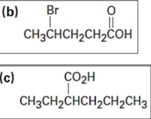 (b)
Br
CH3CHCH2CH2COH
(c)
CO2H
CH3CH2CHCH2CH2CH3
