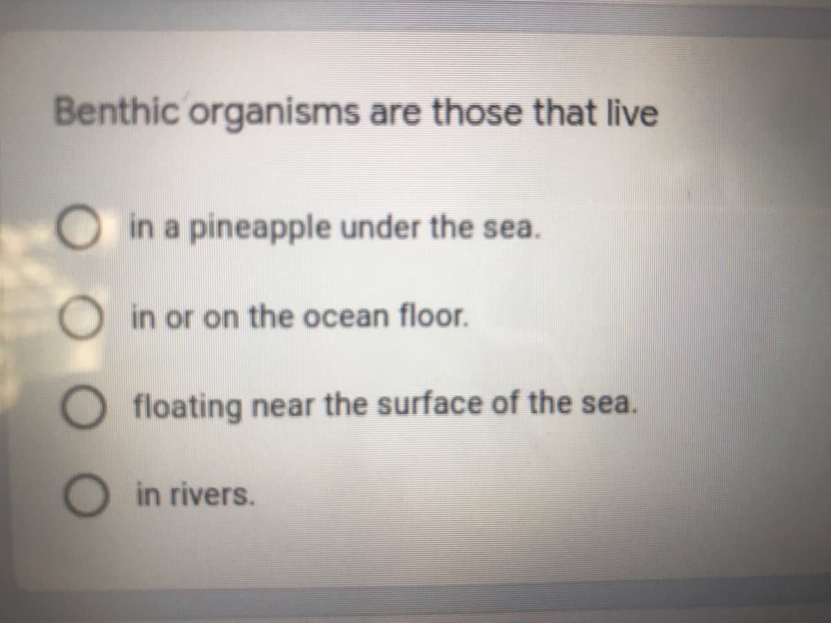 Benthic organisms are those that live
in a pineapple under the sea.
O in or on the ocean floor.
floating near the surface of the sea.
O in rivers.
