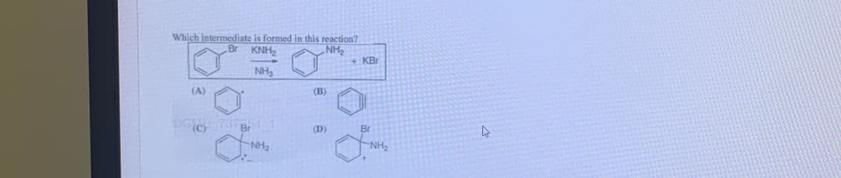 Which intermediate is formed in this reaction?
Br KNH2
NH2
+KBr
NH3
(A)
(B)
OGI7376FAL1
Br
(D)
Br
NH2
NH2
