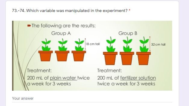73.-74. Which variable was manipulated in the experiment? *
- The following are the results:
Group A
Group B
18 cm tall
32 cm tal
Treatment:
200 mL of plain water twice 200 ml of fertilizer solution
a week for 3 weeks
Treatment:
twice a week for 3 weeks
Your answer
