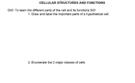 CELLULAR STRUCTURES AND FUNCTIONS
GIO: To leam the different parts of the cell and its functions SIO
1. Draw and label the Important parts of a hypothetical cell.
2. Enumerate the 2 major classes of cells