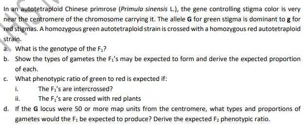 In an autotetraploid Chinese primrose (Primula sinensis L.), the gene controlling stigma color is very
near the centromere of the chromosome carrying it. The allele G for green stigma is dominant to g for
red stigmas. A homozygous green autotetraploid strain is crossed with a homozygous red autotetraploid
strain.
a. What is the genotype of the F,?
b. Show the types of gametes the F.'s may be expected to form and derive the expected proportion
of each.
c. What phenotypic ratio of green to red is expected if:
The Fi's are intercrossed?
i.
ii.
The F,'s are crossed with red plants
d. If the G locus were 50 or more map units from the centromere, what types and proportions of
gametes would the F1 be expected to produce? Derive the expected F2 phenotypic ratio.
