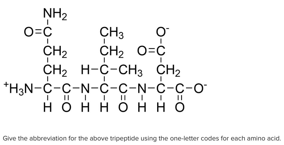 NH2
CH3
CH2 O=C
H-C-CH3 CH2
*H3N-C-C-N-C-C-N-C-C-O
нонн онно
O=C
CH2
CH2
I||
Give the abbreviation for the above tripeptide using the one-letter codes for each amino acid.
