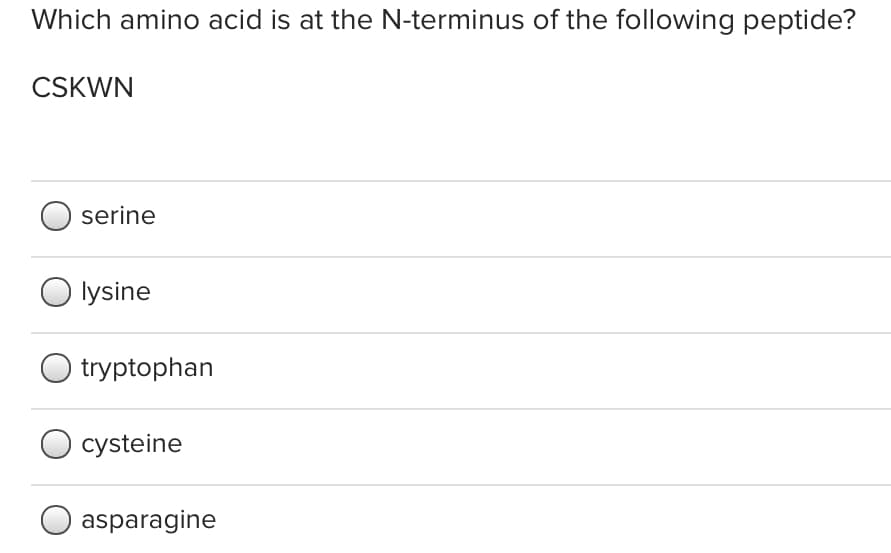 Which amino acid is at the N-terminus of the following peptide?
CSKWN
serine
O lysine
tryptophan
cysteine
asparagine
